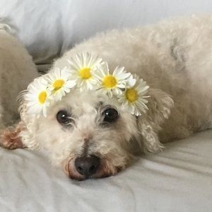 Meet your Posher, Kailyn